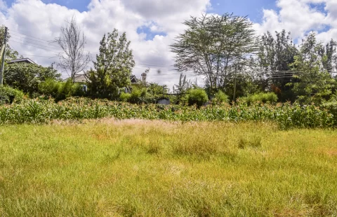 Prime 1/4 acre plot for sale in Ongata Rongai, off Ole Pasha Drive.